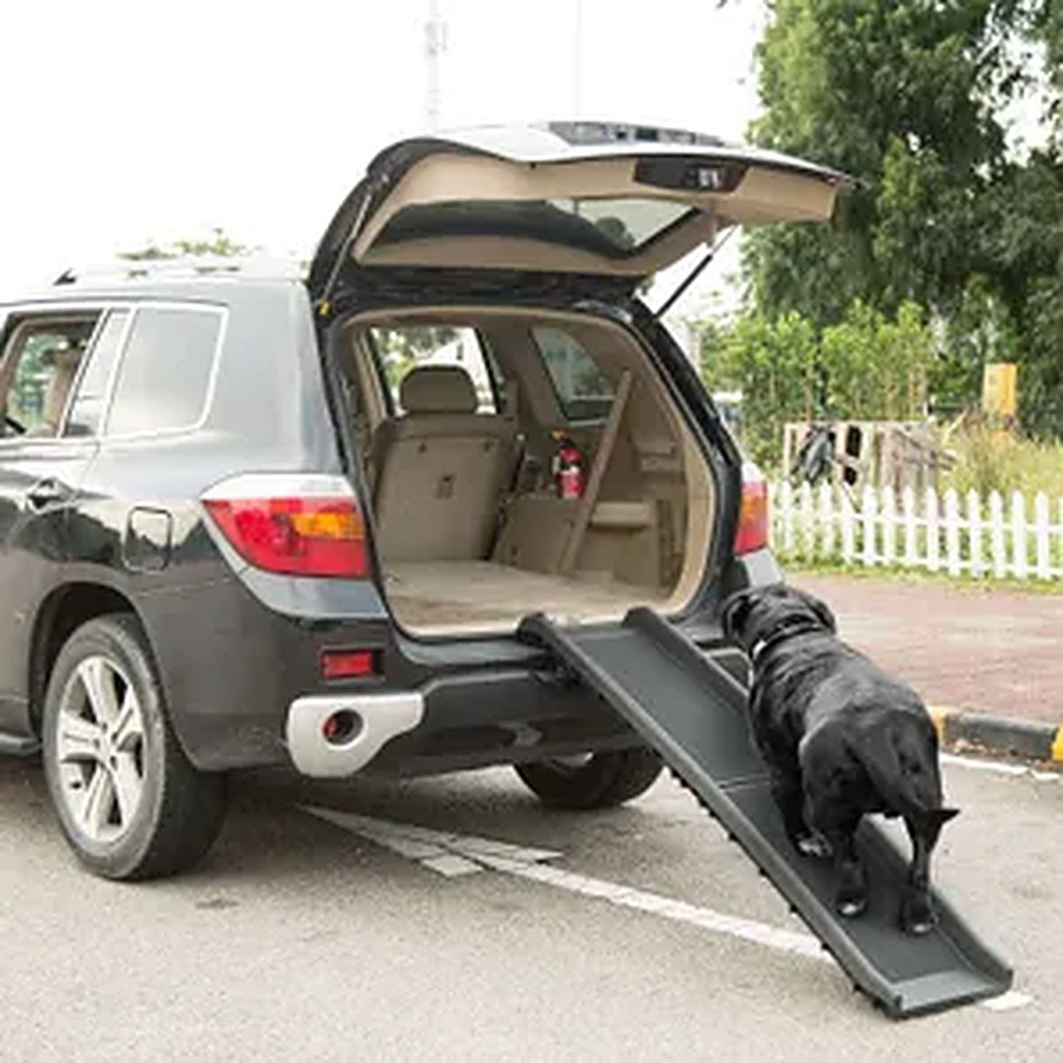 Foldable Pet Ramp for Dogs – Car Ramp for Easy Entry & Senior Dogs