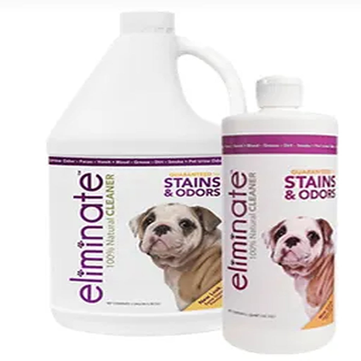 Enzyme Stain & Odour Remover for Pets – Accident Cleaner for Dogs & Cats