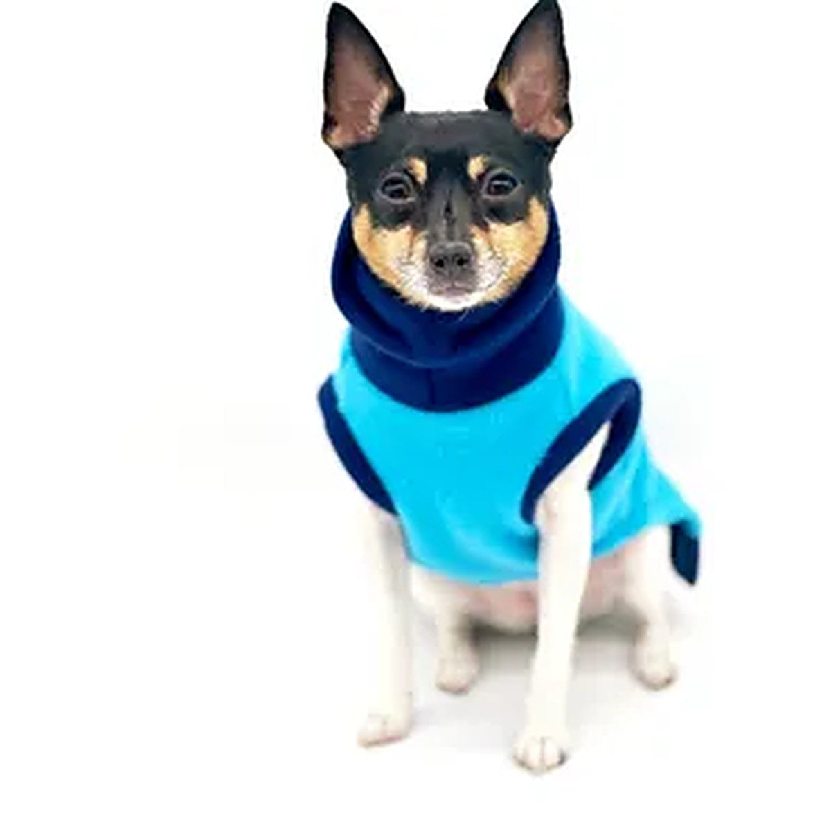 Two-Tone Blue Longneck Dog Sweater
