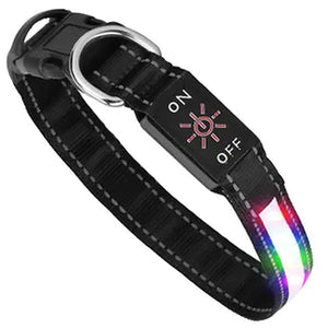 USB Rechargeable Light-Up LED Dog Collar – Night Safety Collar for Evening Walks