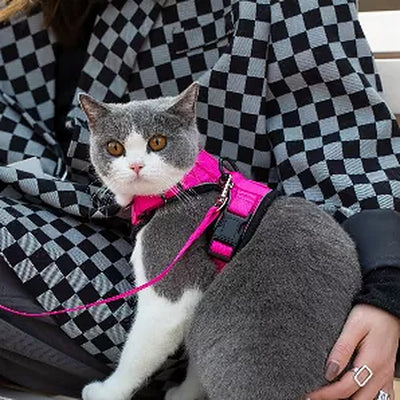 safe-step-reflective-cat-harness-leash-set-adjustable-escape-resistant-walking-harness-for-cats