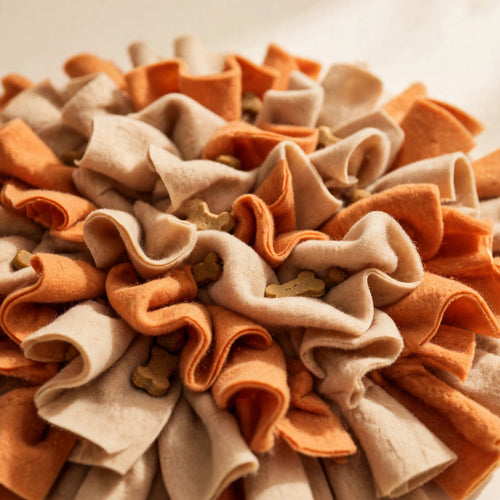 Forage Fun Snuffle Mat for Dogs
